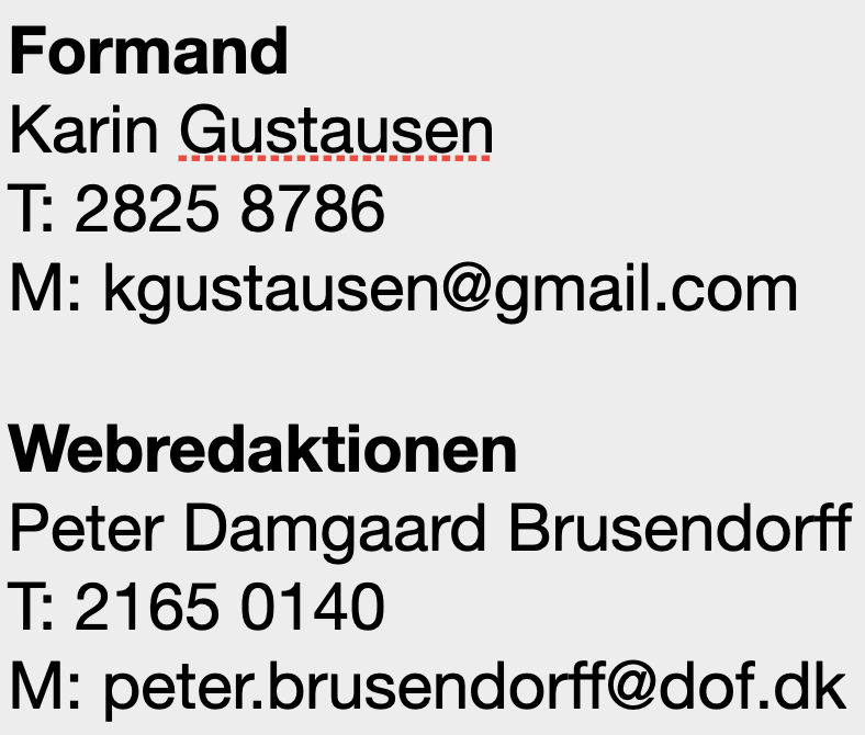 Footer signatur 290323